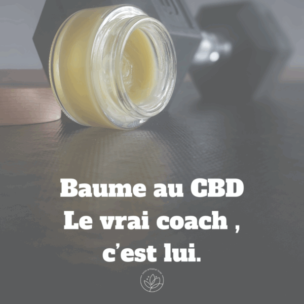 Baume CBD wellness – Image 4